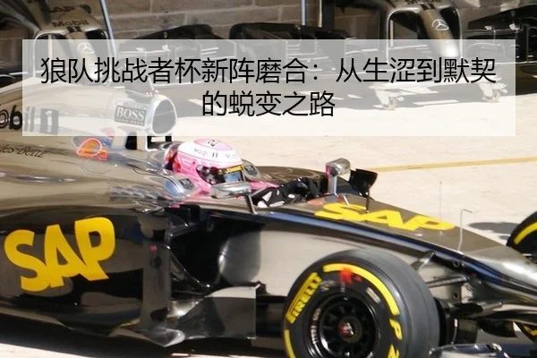 lang-dui-tiao-zhan-zhe-bei-xin-zhen-mo-he-cong-sheng-se-dao-mo-qi-de-tui-bian-zhi-lu-2-348.jpg
